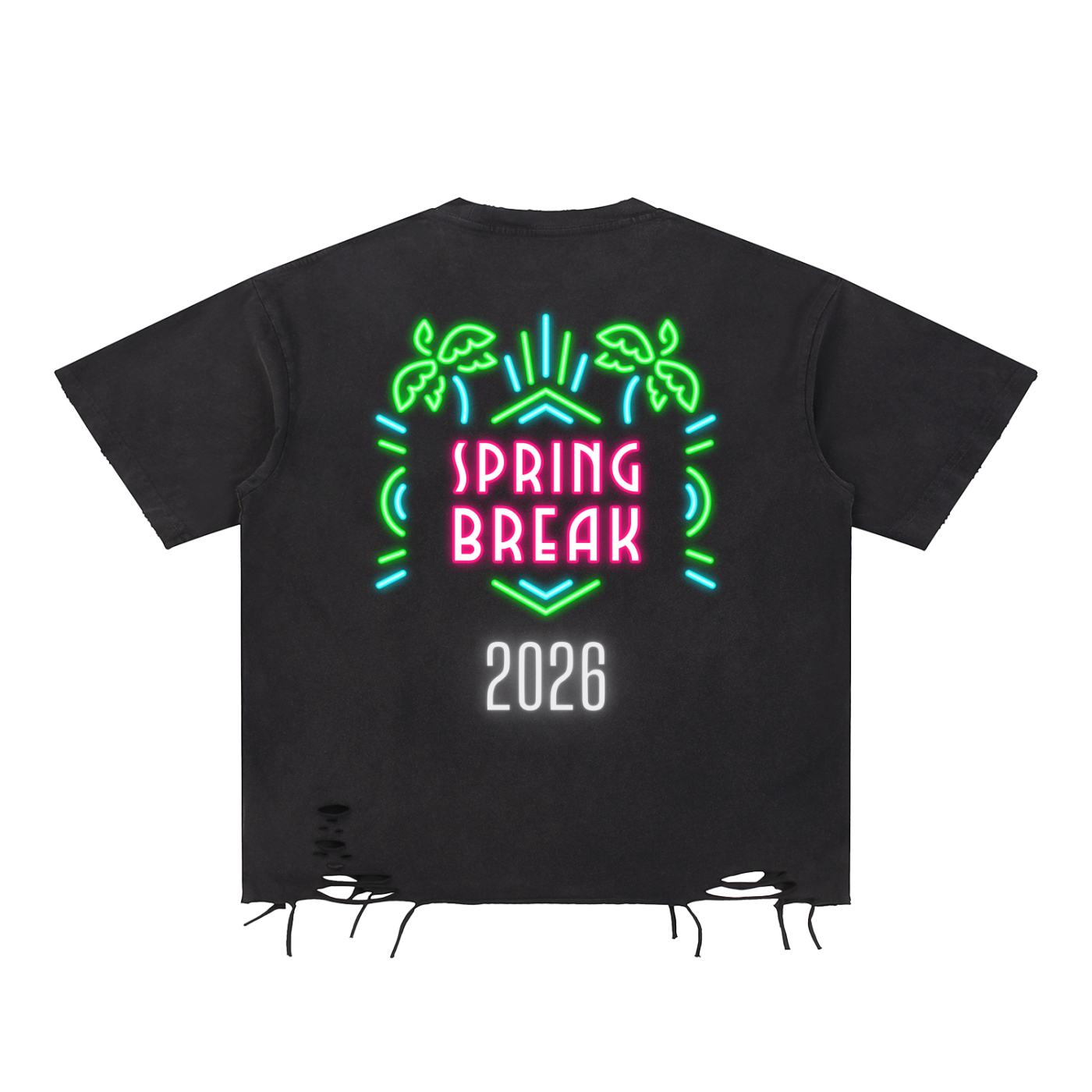 Spring Break 2026 Distressed T-Shirt