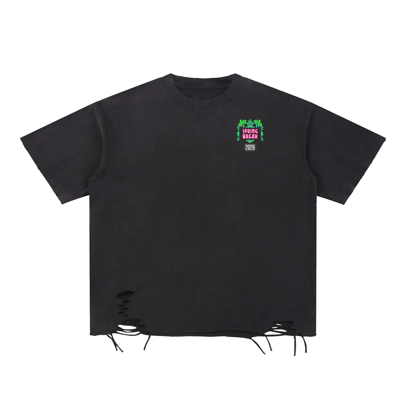 Spring Break 2026 Distressed T-Shirt