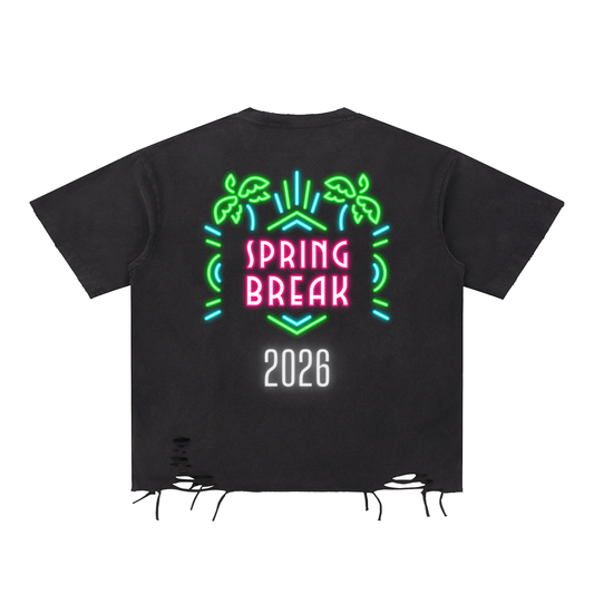 Spring Break 2026 Distressed T-Shirt